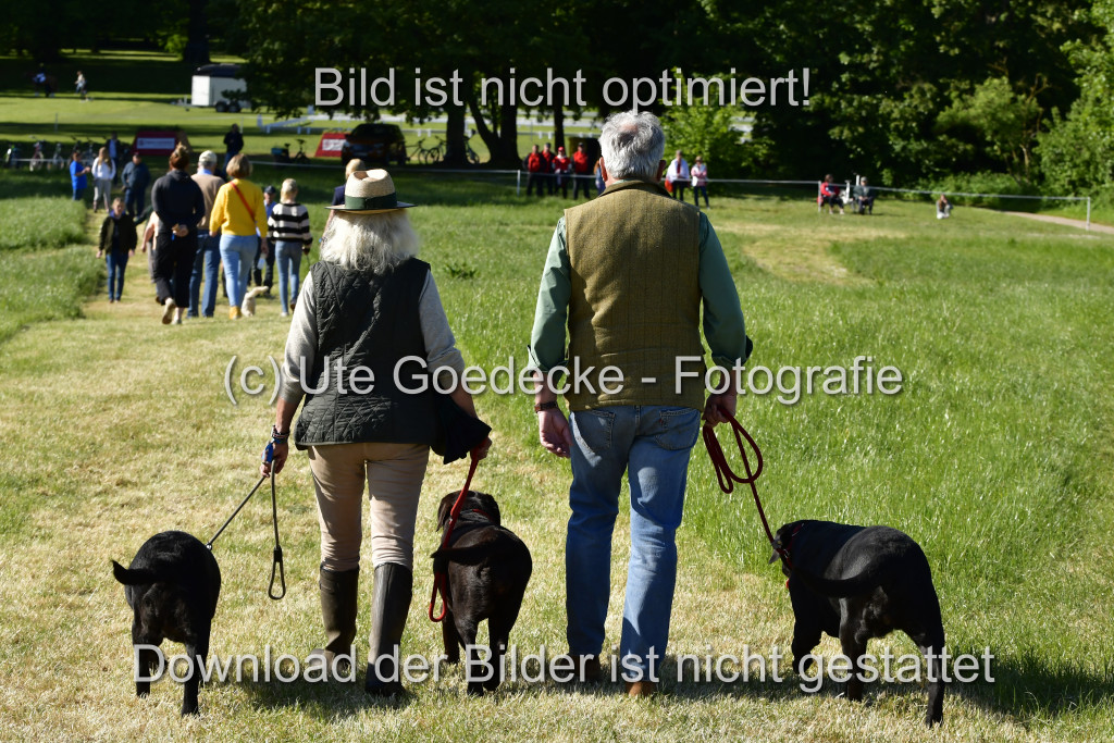 Goldene Schärpe Ponys in Hohen Luckow 1-4.6.23 | 04062023-Impressionen.JPG 