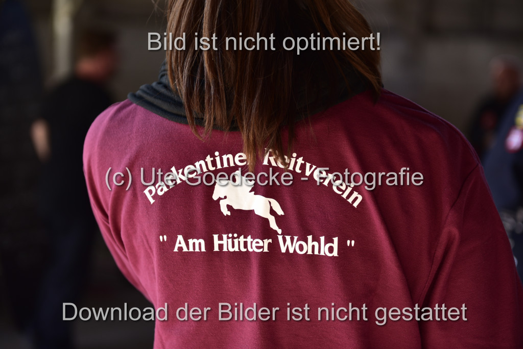 Goldene Schärpe Ponys in Hohen Luckow 1-4.6.23 | 04062023-Impressionen_048.JPG 