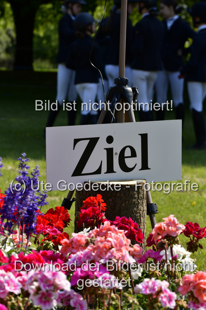 Goldene Schärpe Ponys in Hohen Luckow 1-4.6.23 | 04062023-Impressionen_115.JPG 