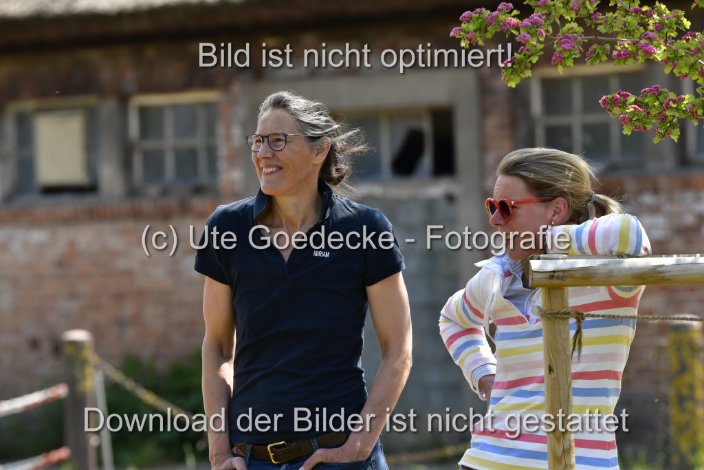Goldene Schärpe Ponys in Hohen Luckow 1-4.6.23 | 04062023-Impressionen_142.JPG 