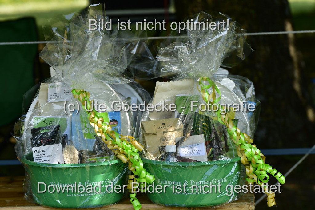 Goldene Schärpe Ponys in Hohen Luckow 1-4.6.23 | 04062023-Impressionen_152.JPG 