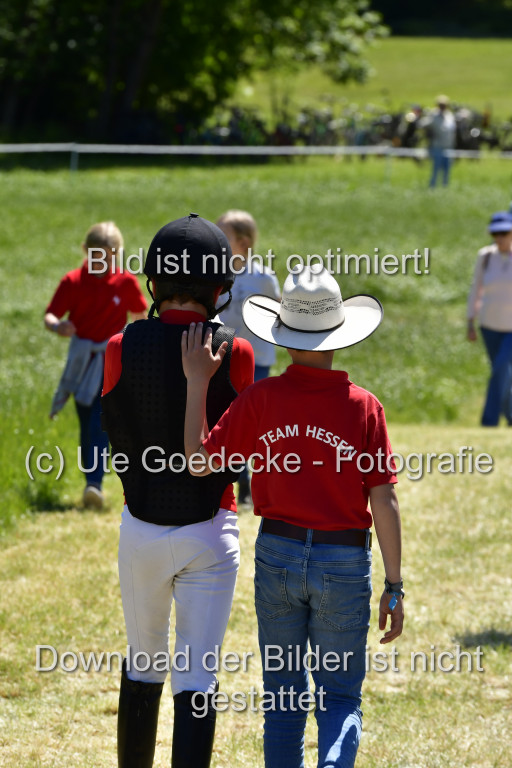 Goldene Schärpe Ponys in Hohen Luckow 1-4.6.23 | 04062023-Impressionen_018.JPG 