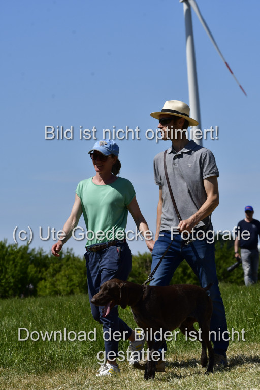 Goldene Schärpe Ponys in Hohen Luckow 1-4.6.23 | 04062023-Impressionen_023.JPG 