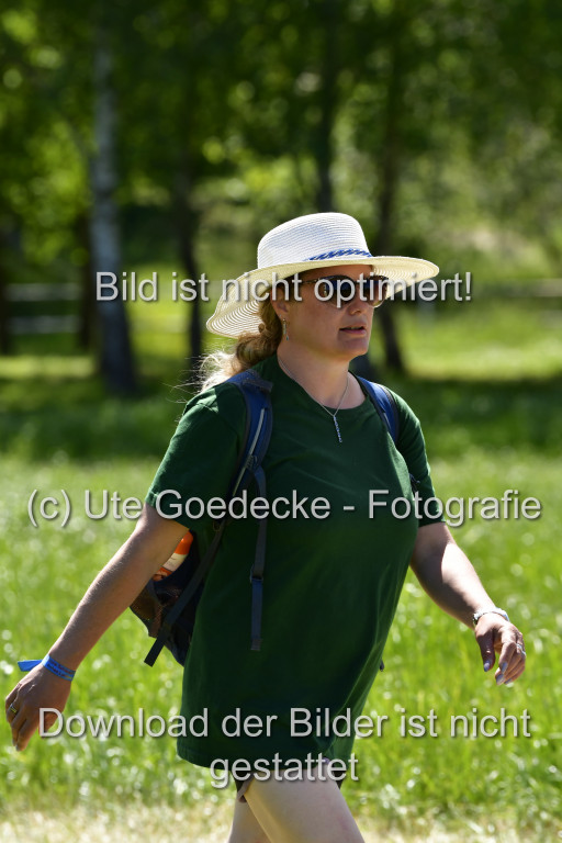 Goldene Schärpe Ponys in Hohen Luckow 1-4.6.23 | 04062023-Impressionen_025.JPG 