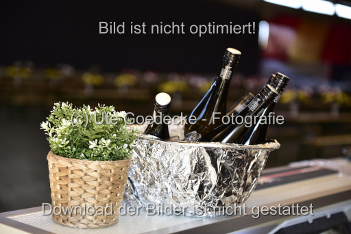 Goldene Schärpe Ponys in Hohen Luckow 1-4.6.23 | 04062023-Impressionen_047.JPG 