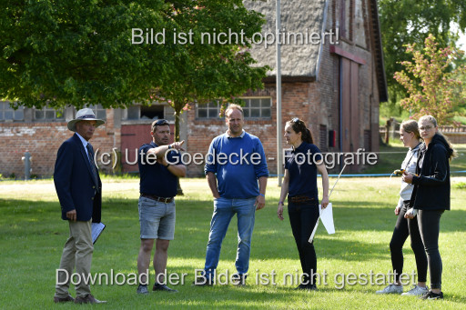 Goldene Schärpe Ponys in Hohen Luckow 1-4.6.23 | 04062023-Impressionen_126.JPG 