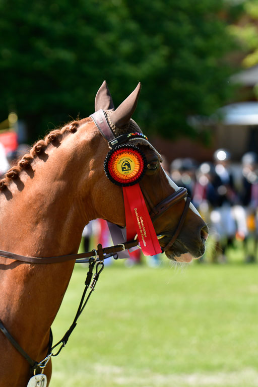 Goldene Schärpe Ponys in Hohen Luckow 1-4.6.23 | 04062023  Siegerehrung_029 