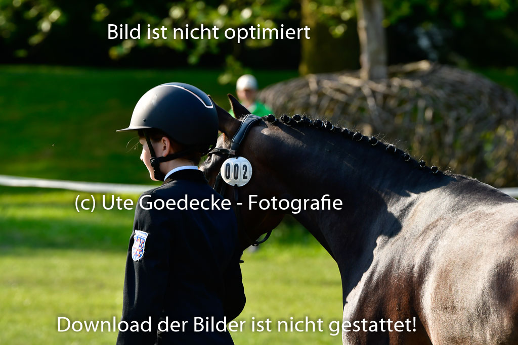 Goldene Schärpe Ponys in Hohen Luckow 1-4.6.23 | 04062023 -  Vormustern _001 