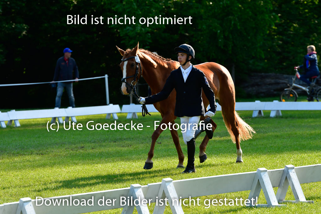 Goldene Schärpe Ponys in Hohen Luckow 1-4.6.23 | 04062023 -  Vormustern _002 