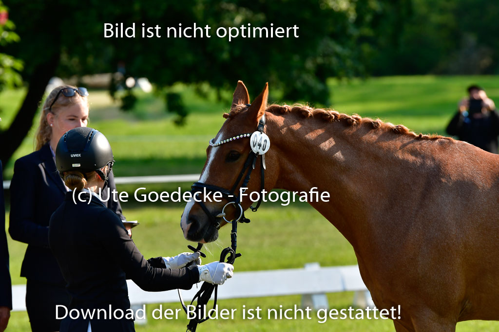 Goldene Schärpe Ponys in Hohen Luckow 1-4.6.23 | 04062023 -  Vormustern _005 