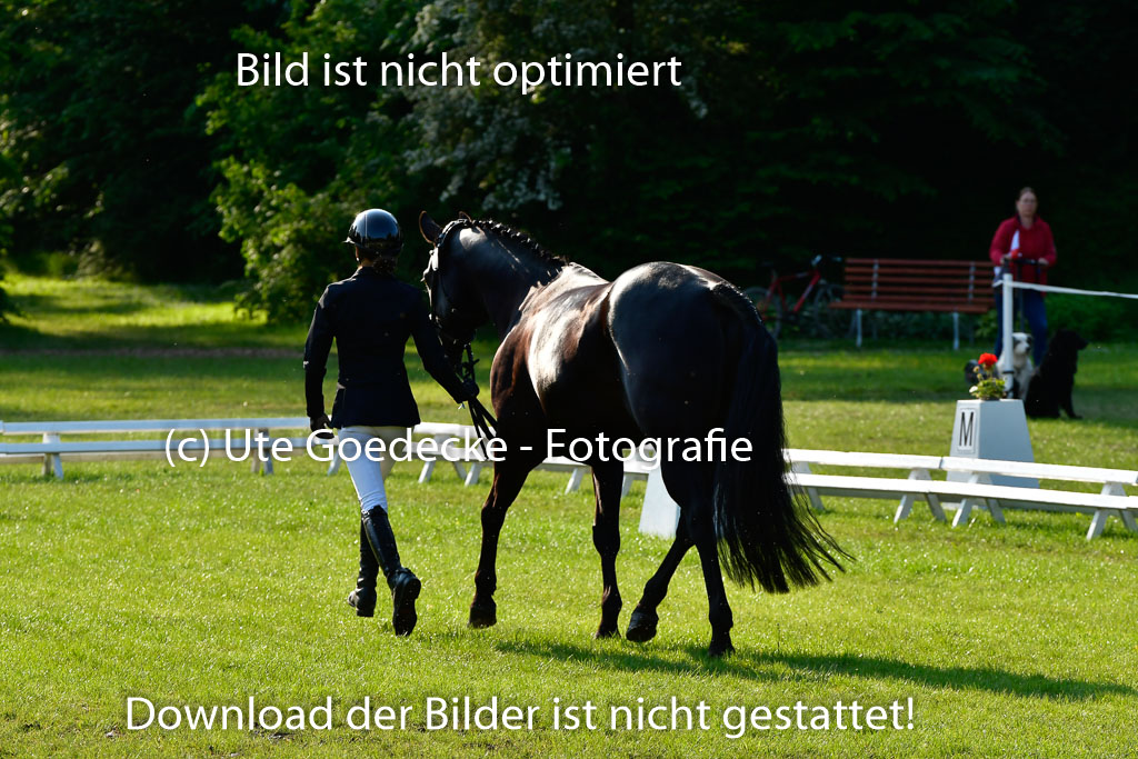 Goldene Schärpe Ponys in Hohen Luckow 1-4.6.23 | 04062023 -  Vormustern _006 