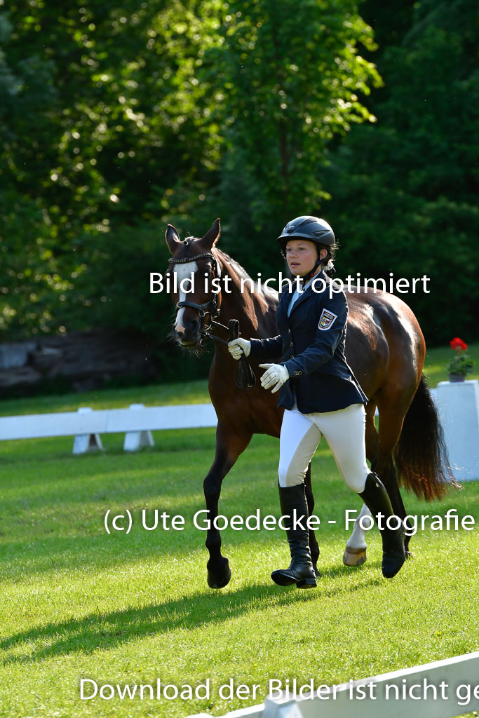 Goldene Schärpe Ponys in Hohen Luckow 1-4.6.23 | 04062023 -  Vormustern _008 