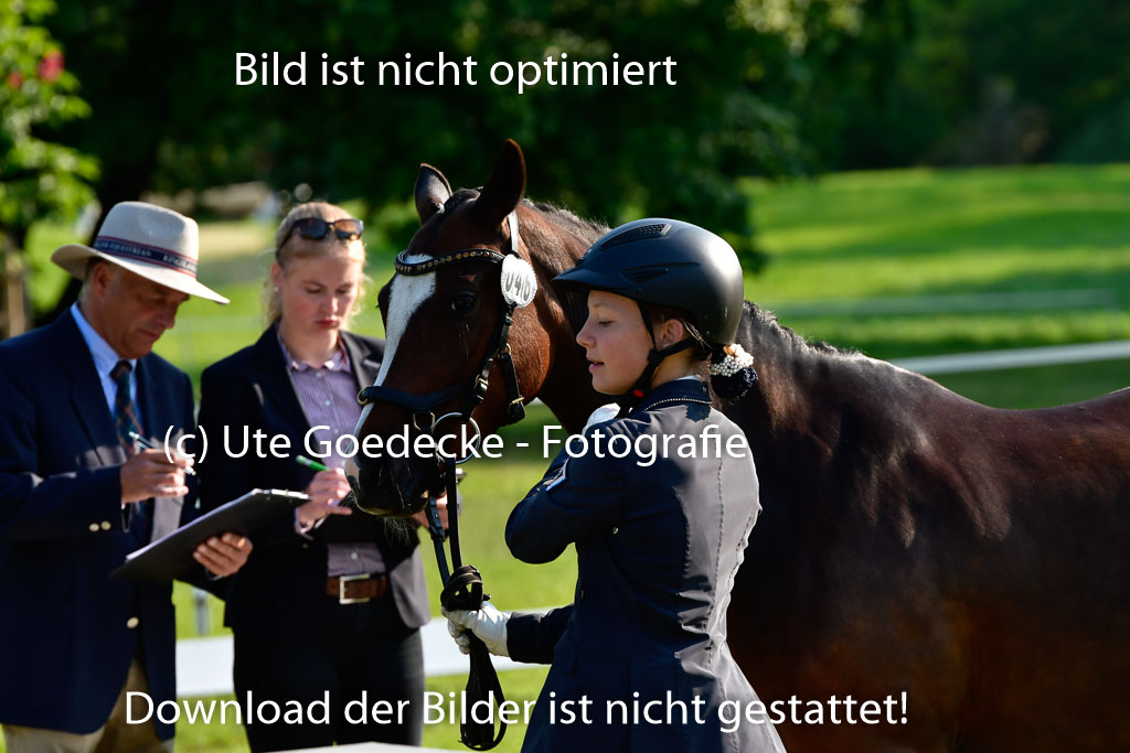 Goldene Schärpe Ponys in Hohen Luckow 1-4.6.23 | 04062023 -  Vormustern _009 