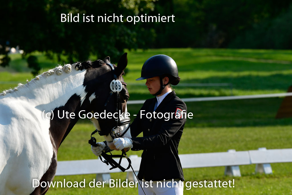 Goldene Schärpe Ponys in Hohen Luckow 1-4.6.23 | 04062023 -  Vormustern _010 