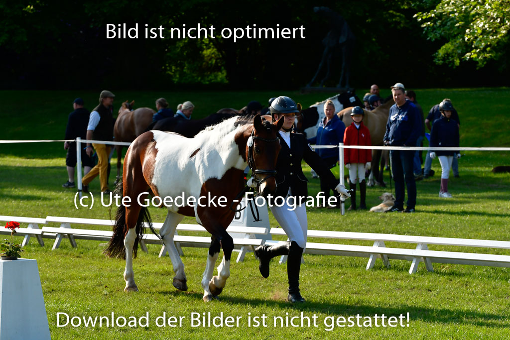 Goldene Schärpe Ponys in Hohen Luckow 1-4.6.23 | 04062023 -  Vormustern _011 