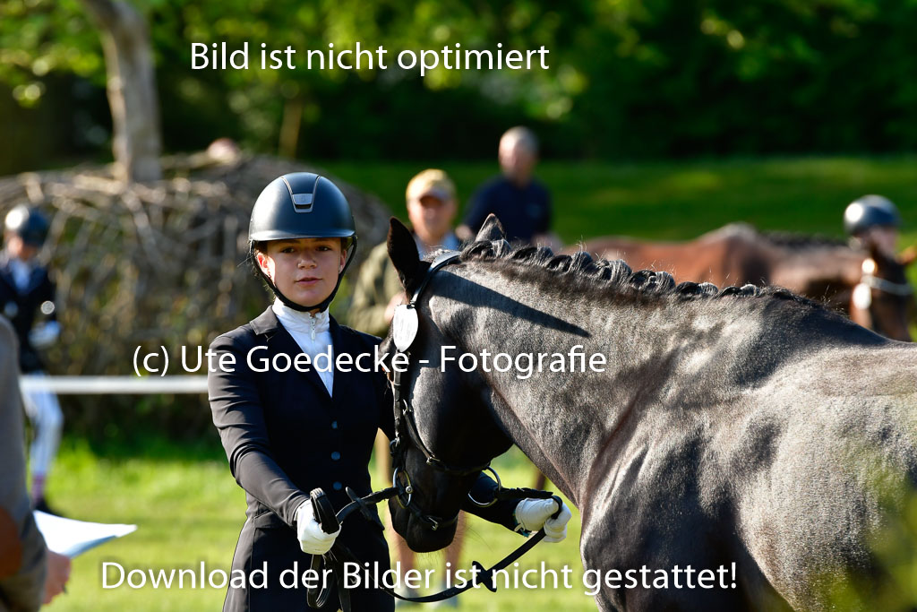 Goldene Schärpe Ponys in Hohen Luckow 1-4.6.23 | 04062023 -  Vormustern _014 