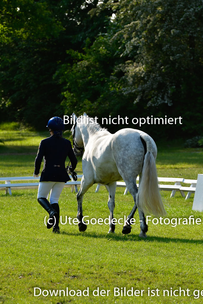 Goldene Schärpe Ponys in Hohen Luckow 1-4.6.23 | 04062023 -  Vormustern _024 