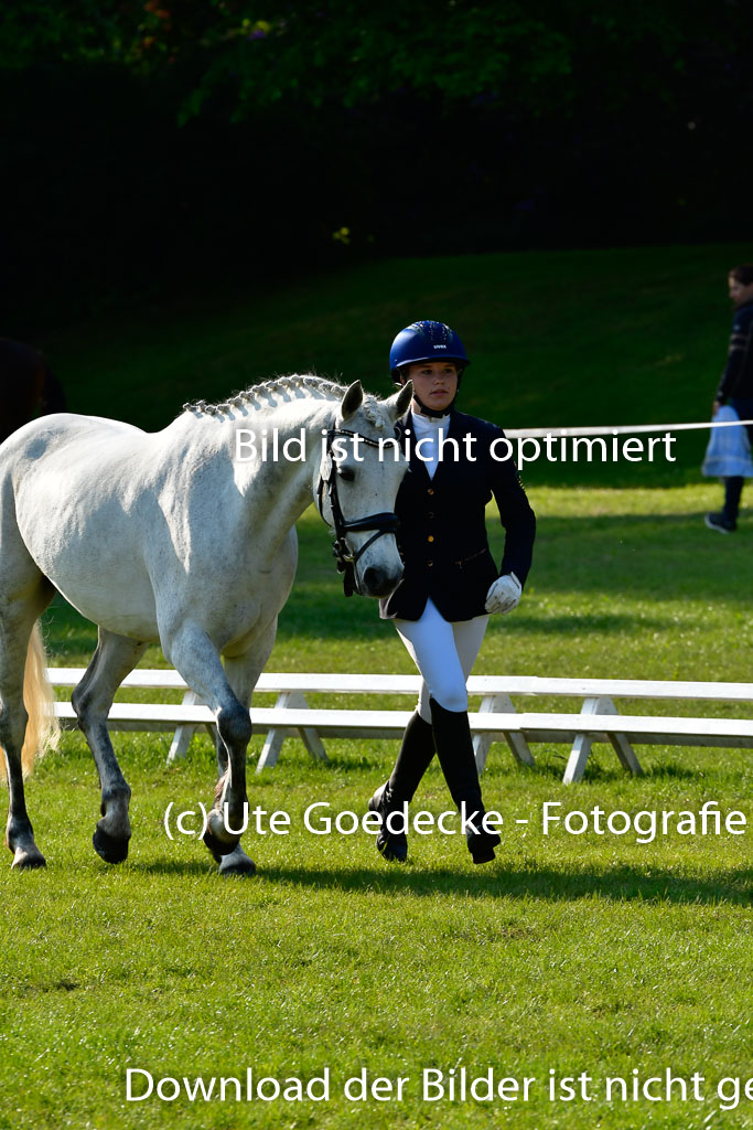 Goldene Schärpe Ponys in Hohen Luckow 1-4.6.23 | 04062023 -  Vormustern _025 