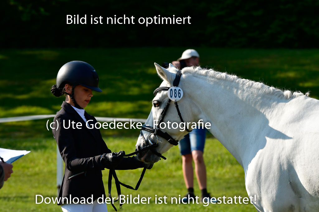 Goldene Schärpe Ponys in Hohen Luckow 1-4.6.23 | 04062023 -  Vormustern _028 