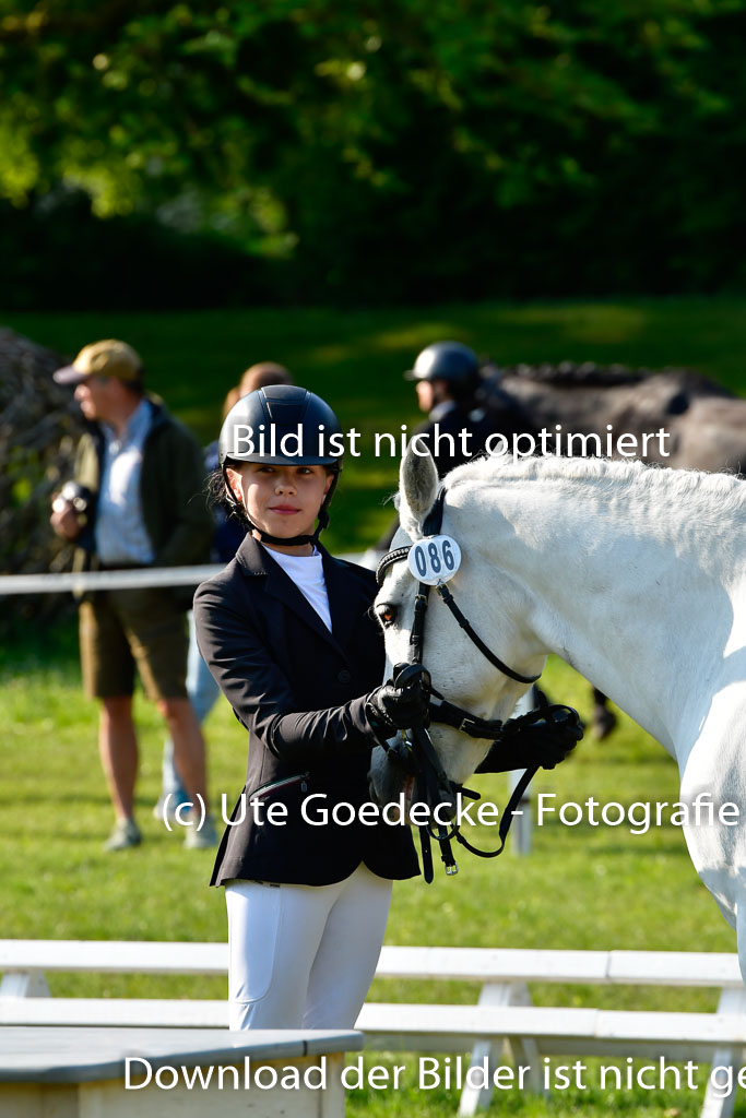 Goldene Schärpe Ponys in Hohen Luckow 1-4.6.23 | 04062023 -  Vormustern _029 
