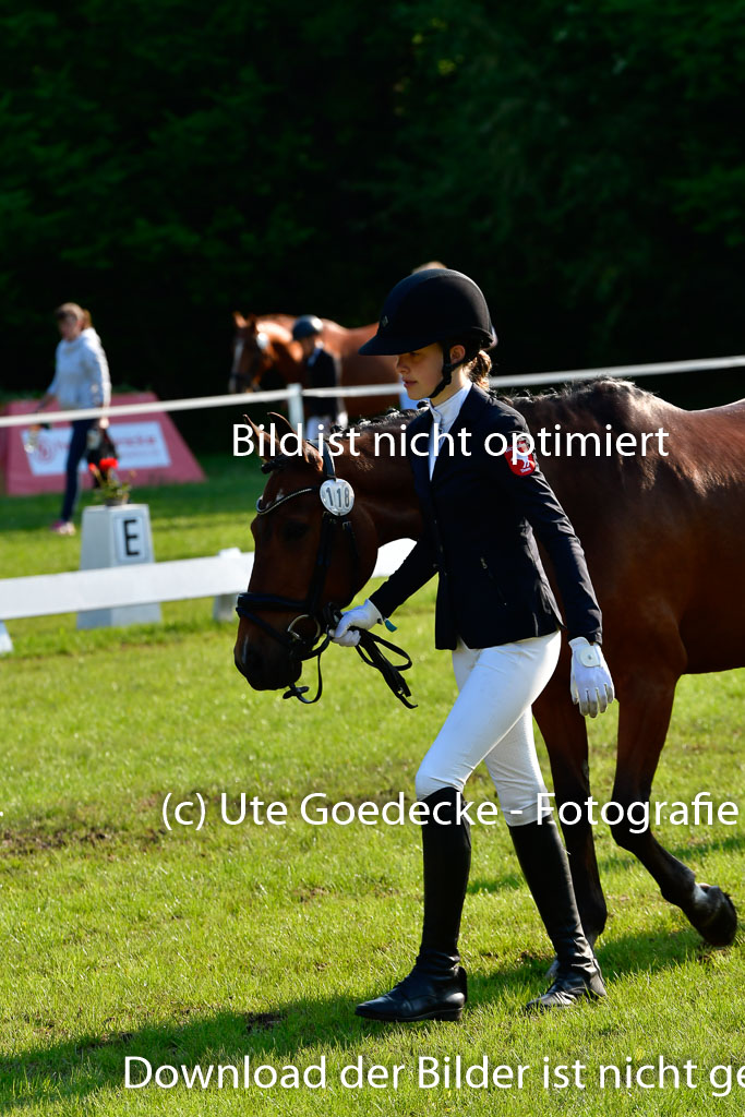 Goldene Schärpe Ponys in Hohen Luckow 1-4.6.23 | 04062023 -  Vormustern _030 