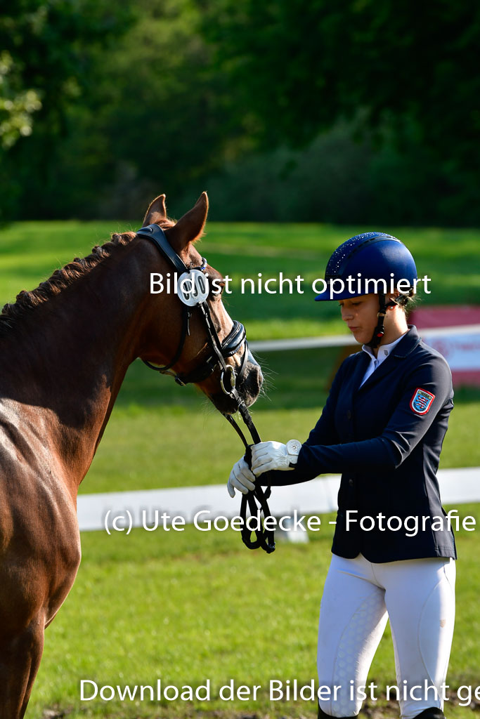 Goldene Schärpe Ponys in Hohen Luckow 1-4.6.23 | 04062023 -  Vormustern _034 