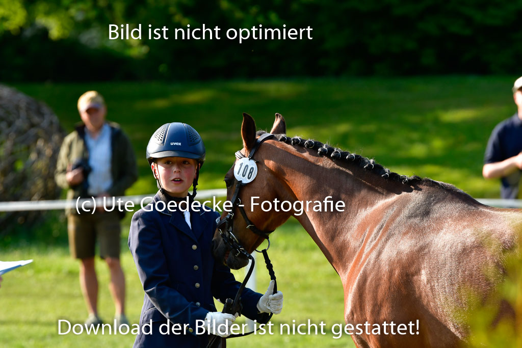 Goldene Schärpe Ponys in Hohen Luckow 1-4.6.23 | 04062023 -  Vormustern _037 