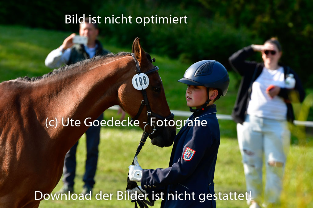 Goldene Schärpe Ponys in Hohen Luckow 1-4.6.23 | 04062023 -  Vormustern _040 