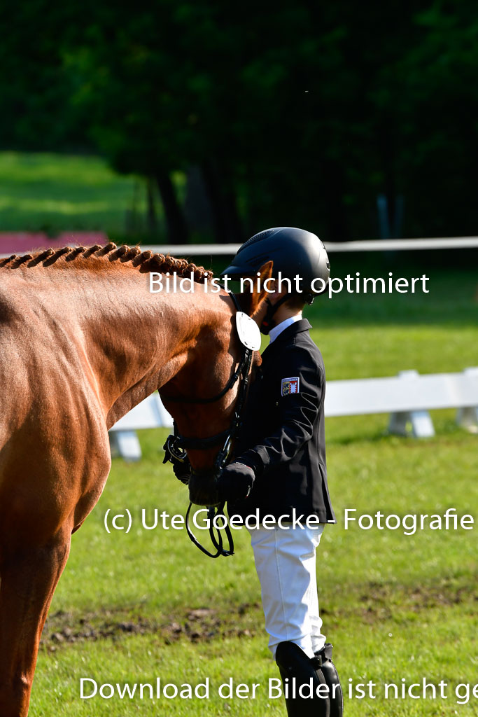 Goldene Schärpe Ponys in Hohen Luckow 1-4.6.23 | 04062023 -  Vormustern _041 