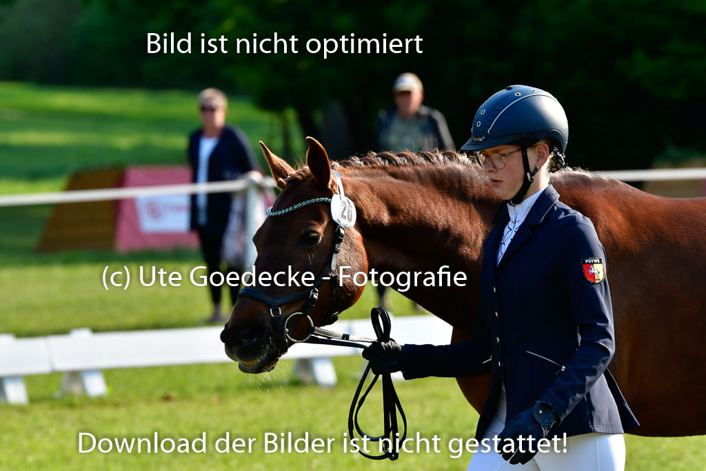 Goldene Schärpe Ponys in Hohen Luckow 1-4.6.23 | 04062023 -  Vormustern _051 