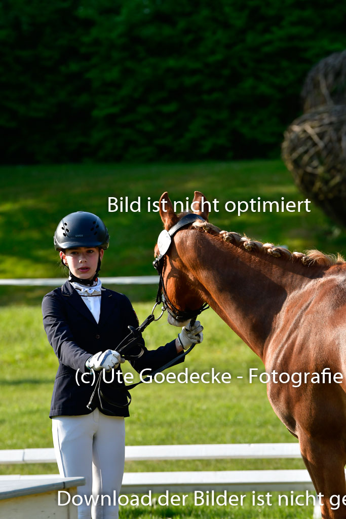 Goldene Schärpe Ponys in Hohen Luckow 1-4.6.23 | 04062023 -  Vormustern _053 