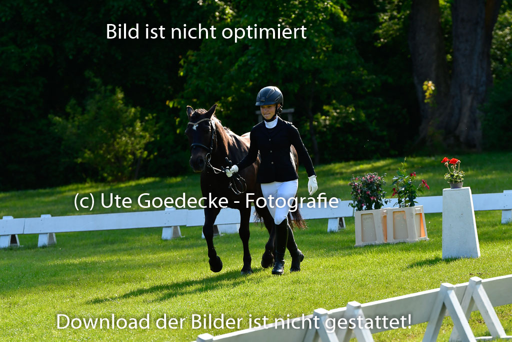 Goldene Schärpe Ponys in Hohen Luckow 1-4.6.23 | 04062023 -  Vormustern _057 