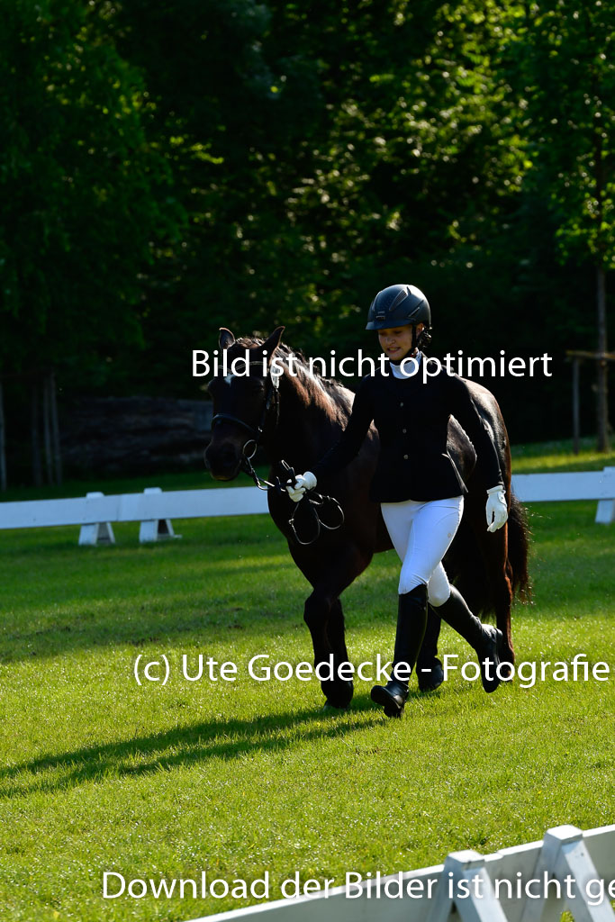 Goldene Schärpe Ponys in Hohen Luckow 1-4.6.23 | 04062023 -  Vormustern _058 