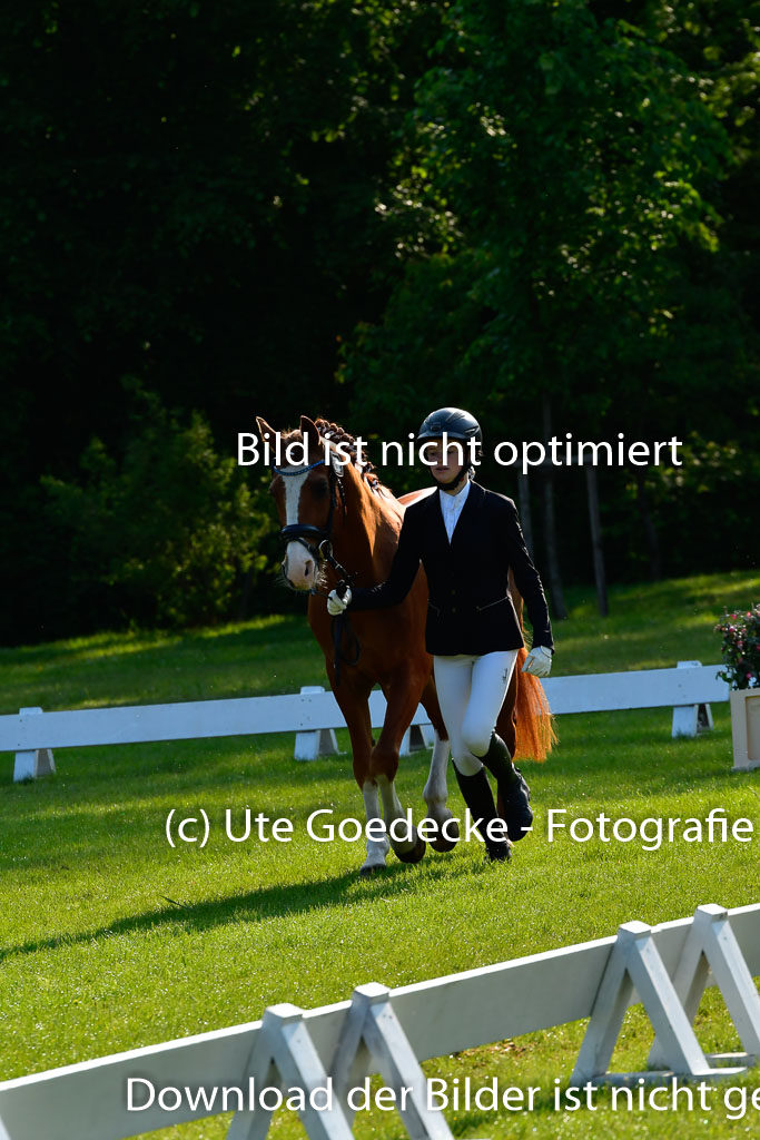 Goldene Schärpe Ponys in Hohen Luckow 1-4.6.23 | 04062023 -  Vormustern _065 