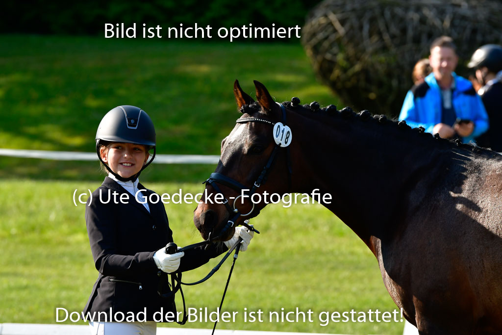 Goldene Schärpe Ponys in Hohen Luckow 1-4.6.23 | 04062023 -  Vormustern _076 