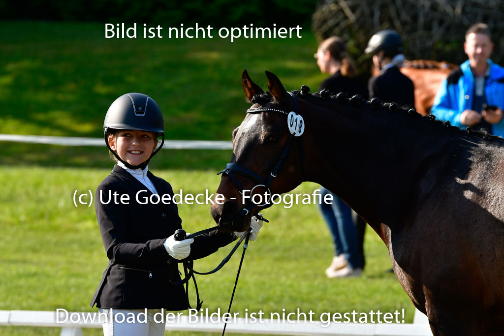 Goldene Schärpe Ponys in Hohen Luckow 1-4.6.23 | 04062023 -  Vormustern _077 