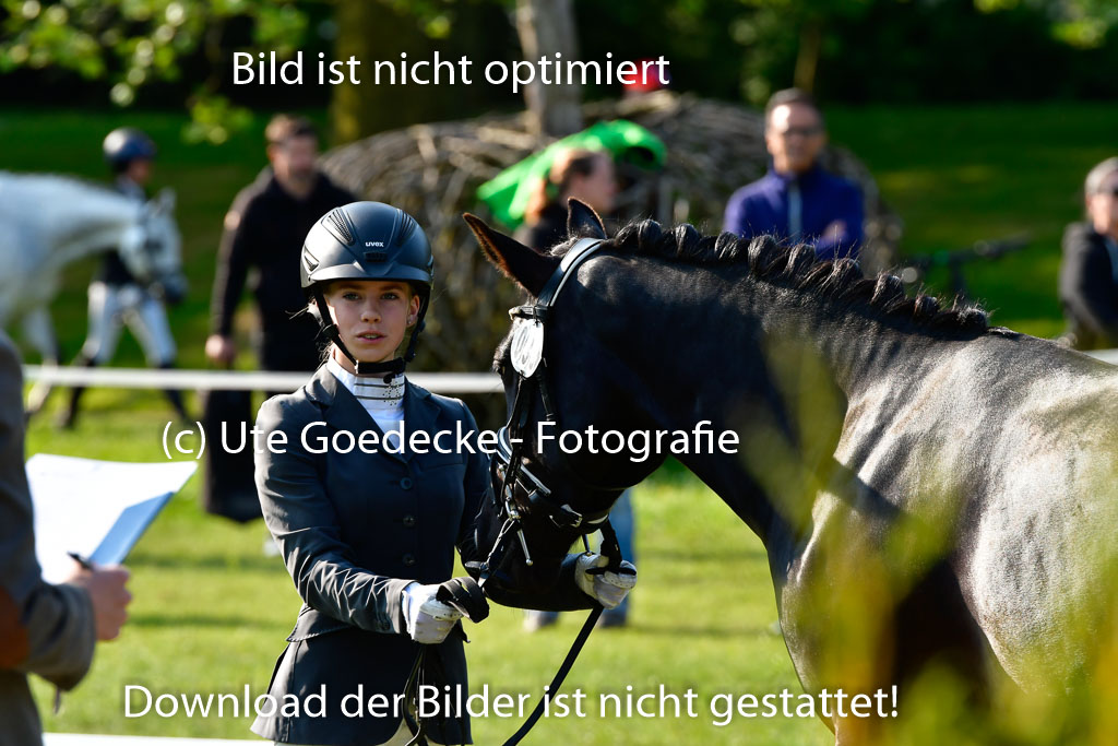 Goldene Schärpe Ponys in Hohen Luckow 1-4.6.23 | 04062023 -  Vormustern _082 