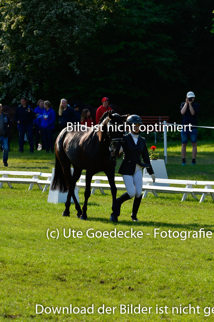 Goldene Schärpe Ponys in Hohen Luckow 1-4.6.23 | 04062023 -  Vormustern _084 