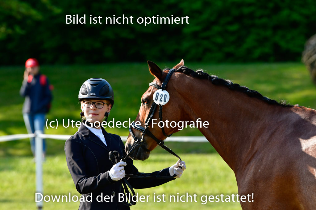 Goldene Schärpe Ponys in Hohen Luckow 1-4.6.23 | 04062023 -  Vormustern _089 