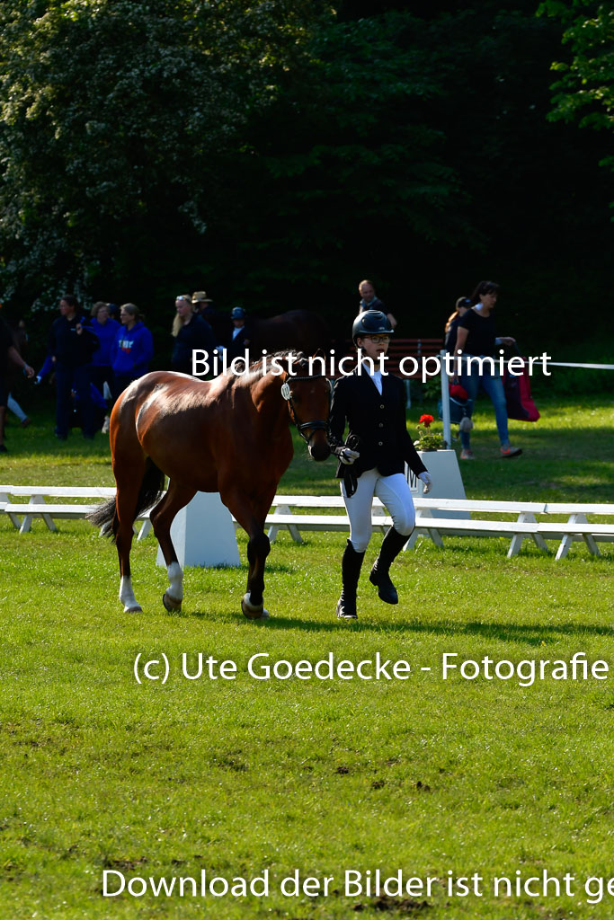Goldene Schärpe Ponys in Hohen Luckow 1-4.6.23 | 04062023 -  Vormustern _090 