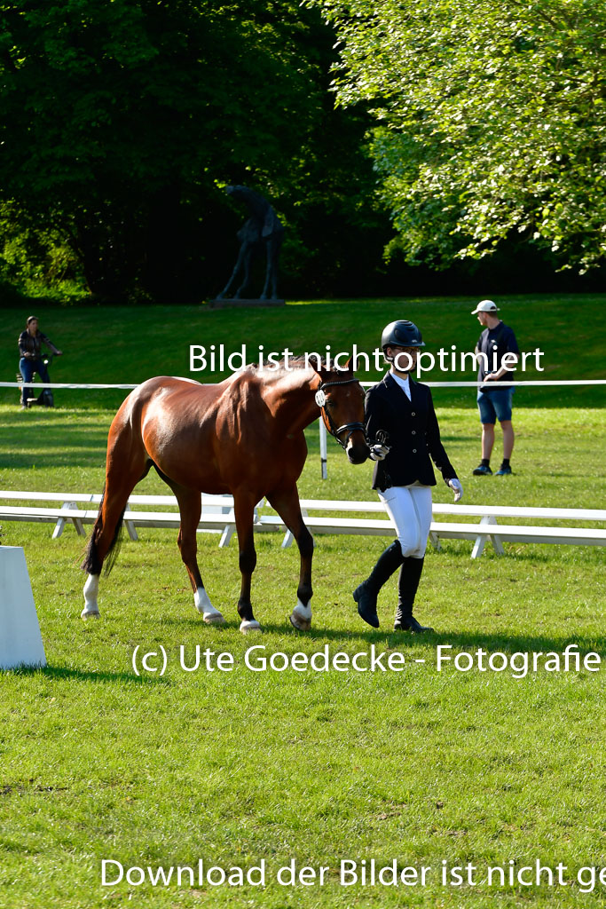 Goldene Schärpe Ponys in Hohen Luckow 1-4.6.23 | 04062023 -  Vormustern _091 