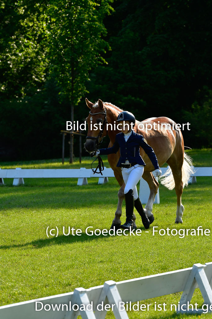 Goldene Schärpe Ponys in Hohen Luckow 1-4.6.23 | 04062023 -  Vormustern _094 