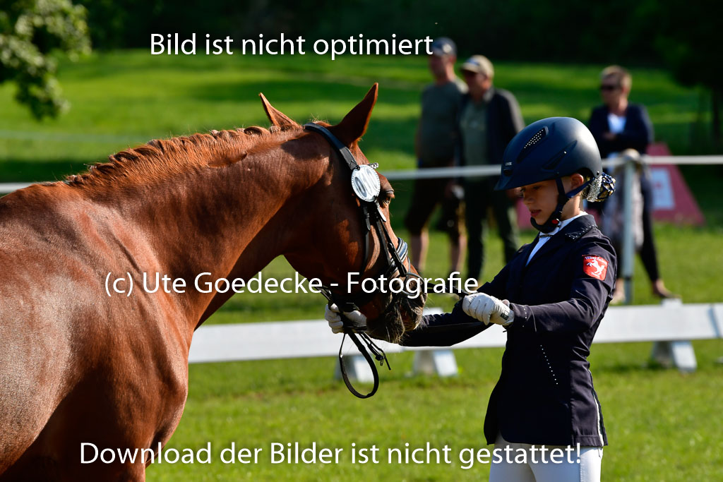 Goldene Schärpe Ponys in Hohen Luckow 1-4.6.23 | 04062023 -  Vormustern _097 