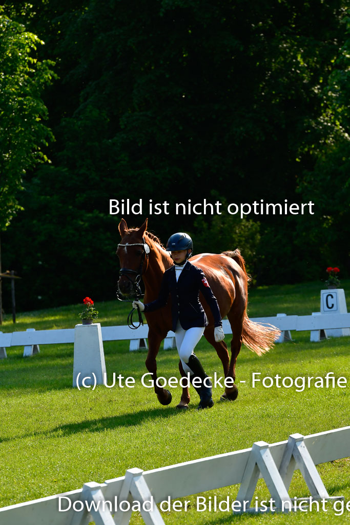 Goldene Schärpe Ponys in Hohen Luckow 1-4.6.23 | 04062023 -  Vormustern _100 