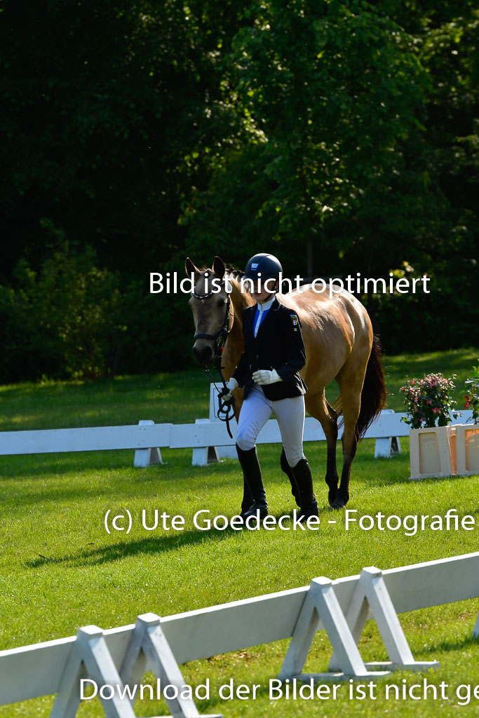 Goldene Schärpe Ponys in Hohen Luckow 1-4.6.23 | 04062023 -  Vormustern _108 