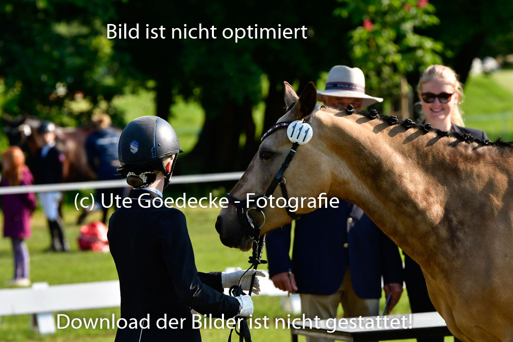 Goldene Schärpe Ponys in Hohen Luckow 1-4.6.23 | 04062023 -  Vormustern _109 