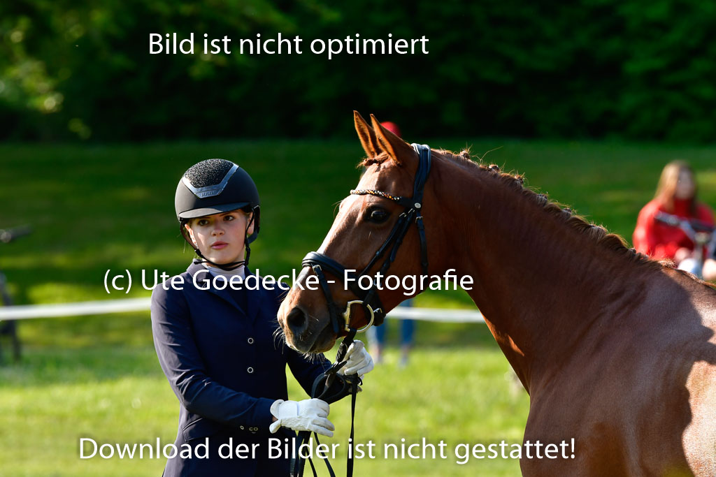 Goldene Schärpe Ponys in Hohen Luckow 1-4.6.23 | 04062023 -  Vormustern _110 