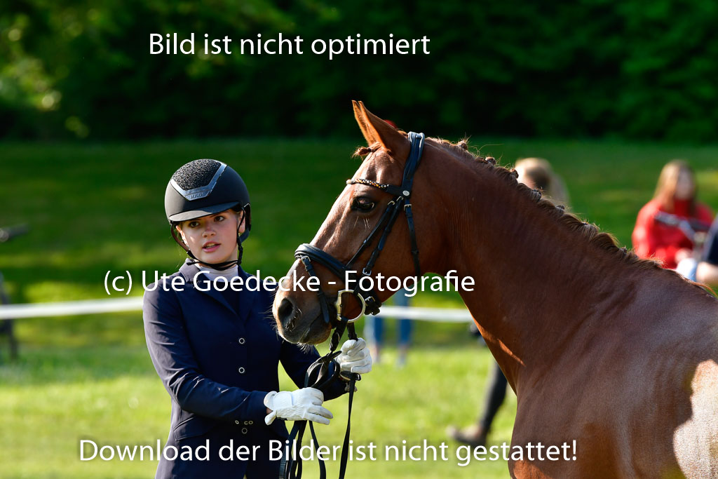 Goldene Schärpe Ponys in Hohen Luckow 1-4.6.23 | 04062023 -  Vormustern _111 