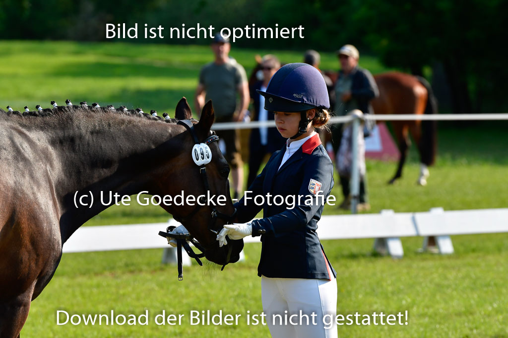Goldene Schärpe Ponys in Hohen Luckow 1-4.6.23 | 04062023 -  Vormustern _112 