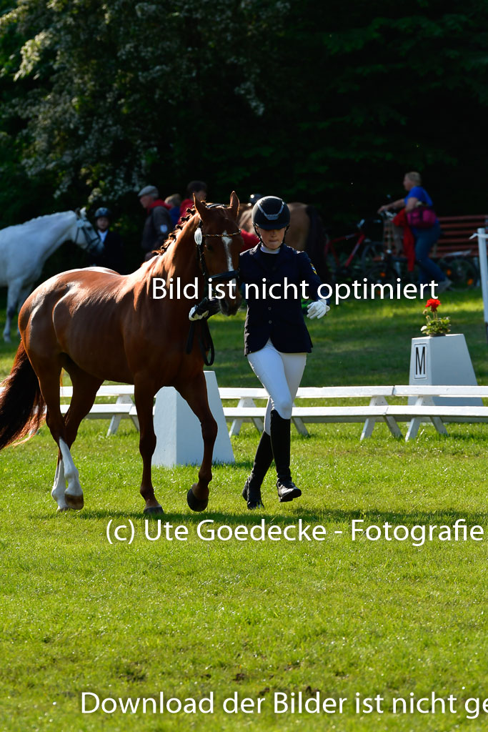 Goldene Schärpe Ponys in Hohen Luckow 1-4.6.23 | 04062023 -  Vormustern _113 